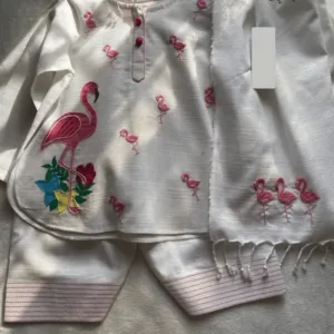 Kids Frock Shine Grey Color